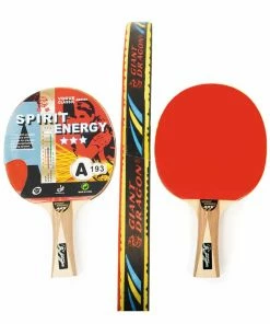 GIANT DRAGON 3 Star Table Tennis Paddle: Spirit Energy